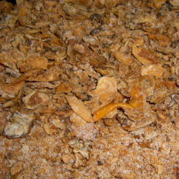 Grattons en poussière de la ferme de Montchervet - AMPLEPUIS 69 - Sans nitrite ni conservateur