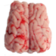 Cervelle de porc