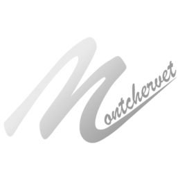 Andouillette 650g de la ferme de Montchervet - AMPLEPUIS 69 - Sans nitrite ni conservateur