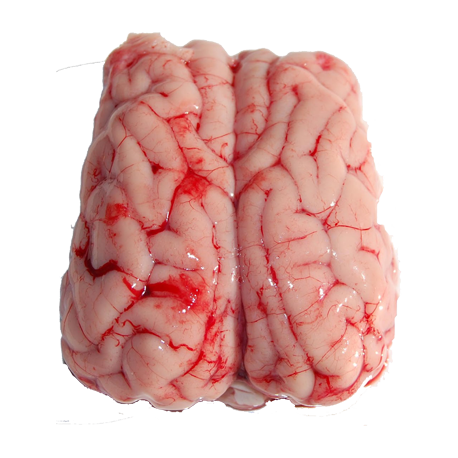 Cervelle de porc de la ferme de Montchervet - AMPLEPUIS 69 - Sans nitrite ni conservateur