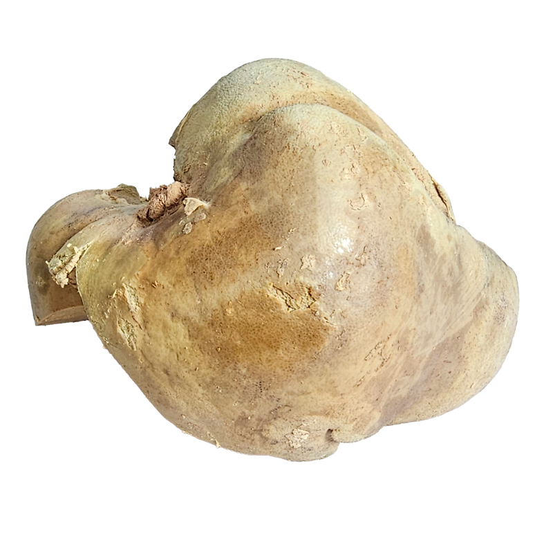 Foie cuit de la ferme de Montchervet - AMPLEPUIS 69 - Sans nitrite ni conservateur