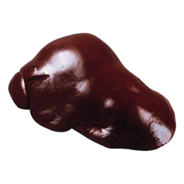 Foie de bœuf de la ferme de Montchervet - AMPLEPUIS 69 - Sans nitrite ni conservateur