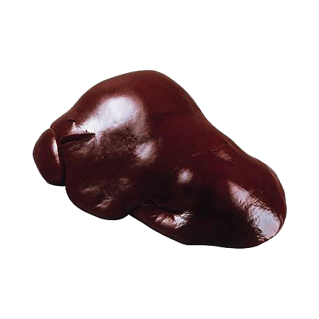 Foie de bœuf de la ferme de Montchervet - AMPLEPUIS 69 - Sans nitrite ni conservateur