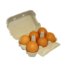 Œuf / 6 cal M