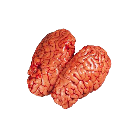 Cervelle de veau de la ferme de Montchervet - AMPLEPUIS 69 - Sans nitrite ni conservateur