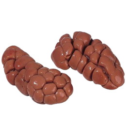 Rognon de veau de la ferme de Montchervet - AMPLEPUIS 69 - Sans nitrite ni conservateur