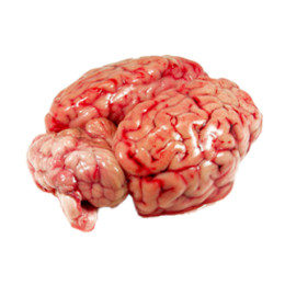 Cervelle de veau de la ferme de Montchervet - AMPLEPUIS 69 - Sans nitrite ni conservateur