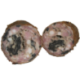 Saucisson cuit forestier de la ferme de Montchervet - AMPLEPUIS 69 - Sans nitrite ni conservateur
