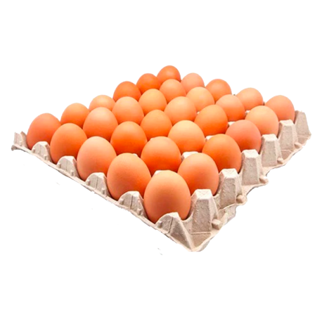 Oeuf Plein air - plaque x30 cal L de la ferme de Montchervet - AMPLEPUIS 69 - Sans nitrite ni conservateur