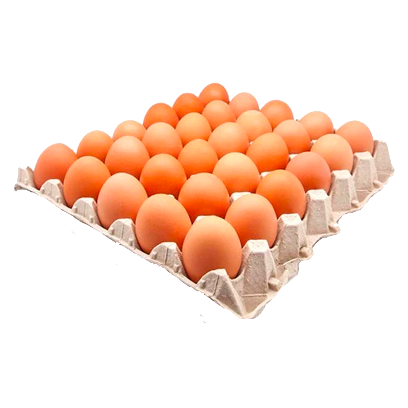 Oeuf Plein air - plaque x30 cal L de la ferme de Montchervet - AMPLEPUIS 69 - Sans nitrite ni conservateur