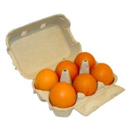 Oeuf Plein air / 6 cal L de la ferme de Montchervet - AMPLEPUIS 69 - Sans nitrite ni conservateur