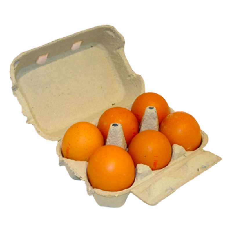 Oeuf Plein air / 6 cal L de la ferme de Montchervet - AMPLEPUIS 69 - Sans nitrite ni conservateur