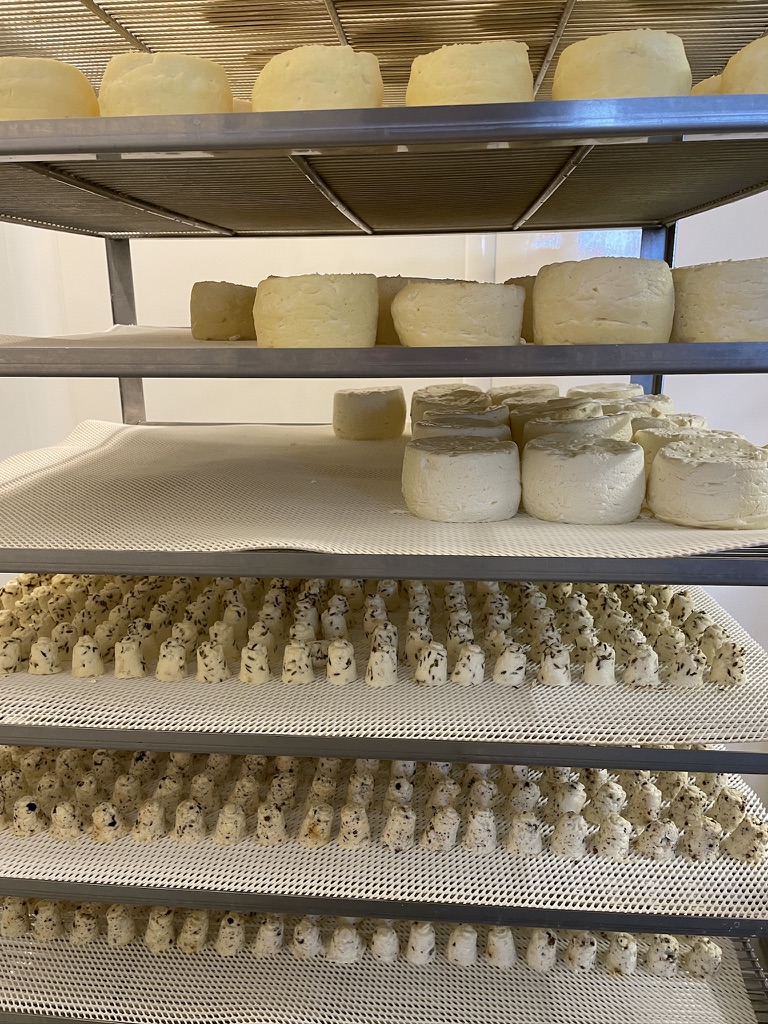 Salles d’affinage des charcuteries